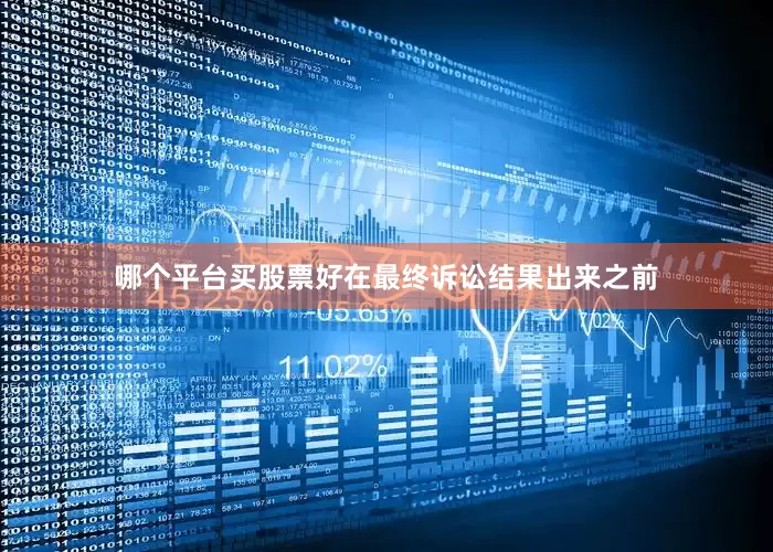 哪个平台买股票好在最终诉讼结果出来之前