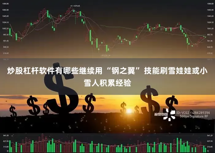 炒股杠杆软件有哪些继续用 “钢之翼” 技能刷雪娃娃或小雪人积累经验